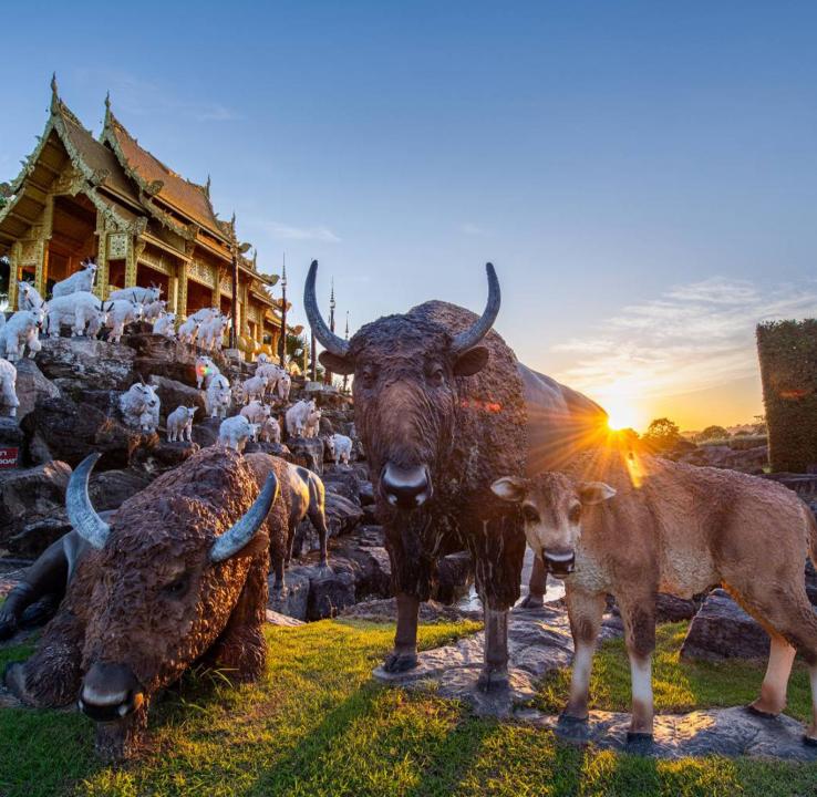 泰国旅游团报价6日游报价_泰国旅游_泰国旅游费用大概需要多少钱