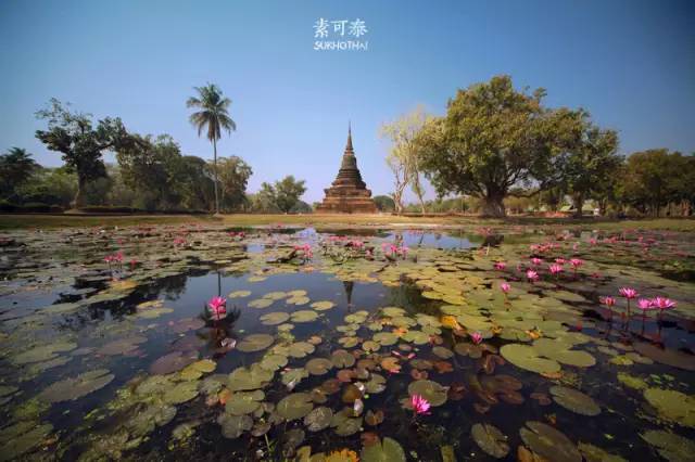 泰国零食特产_泰国中国零食_泰国的零食有哪些好吃的