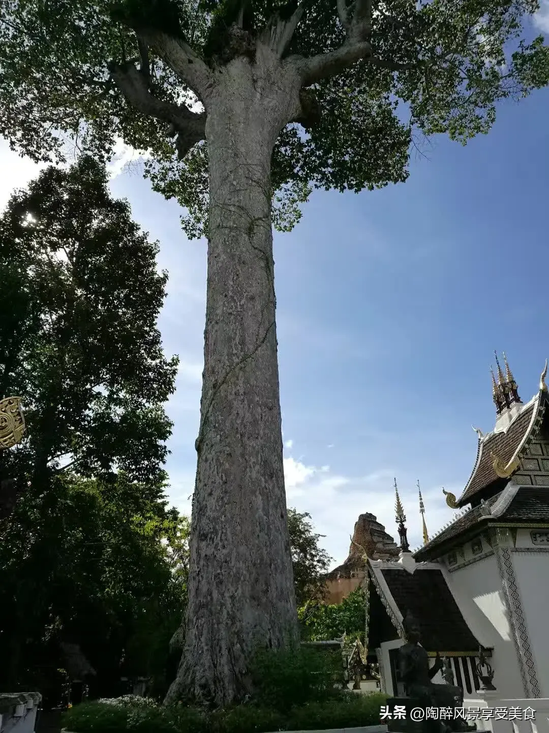 北京到曼谷的机票_曼谷_曼谷旅游景点