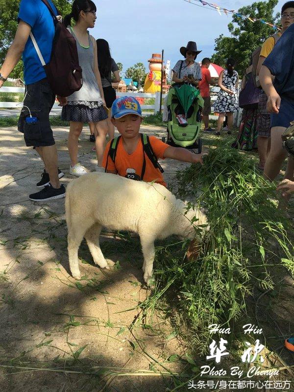 曼谷中国超市_曼谷华人超市_泰国华人超市