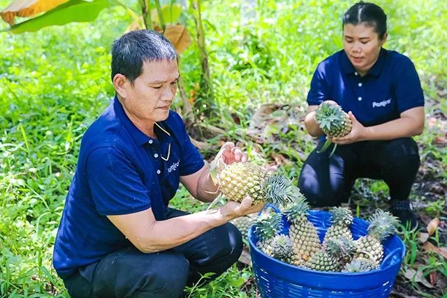 泰国中国零食_泰国零食品牌_泰国进口食品零食