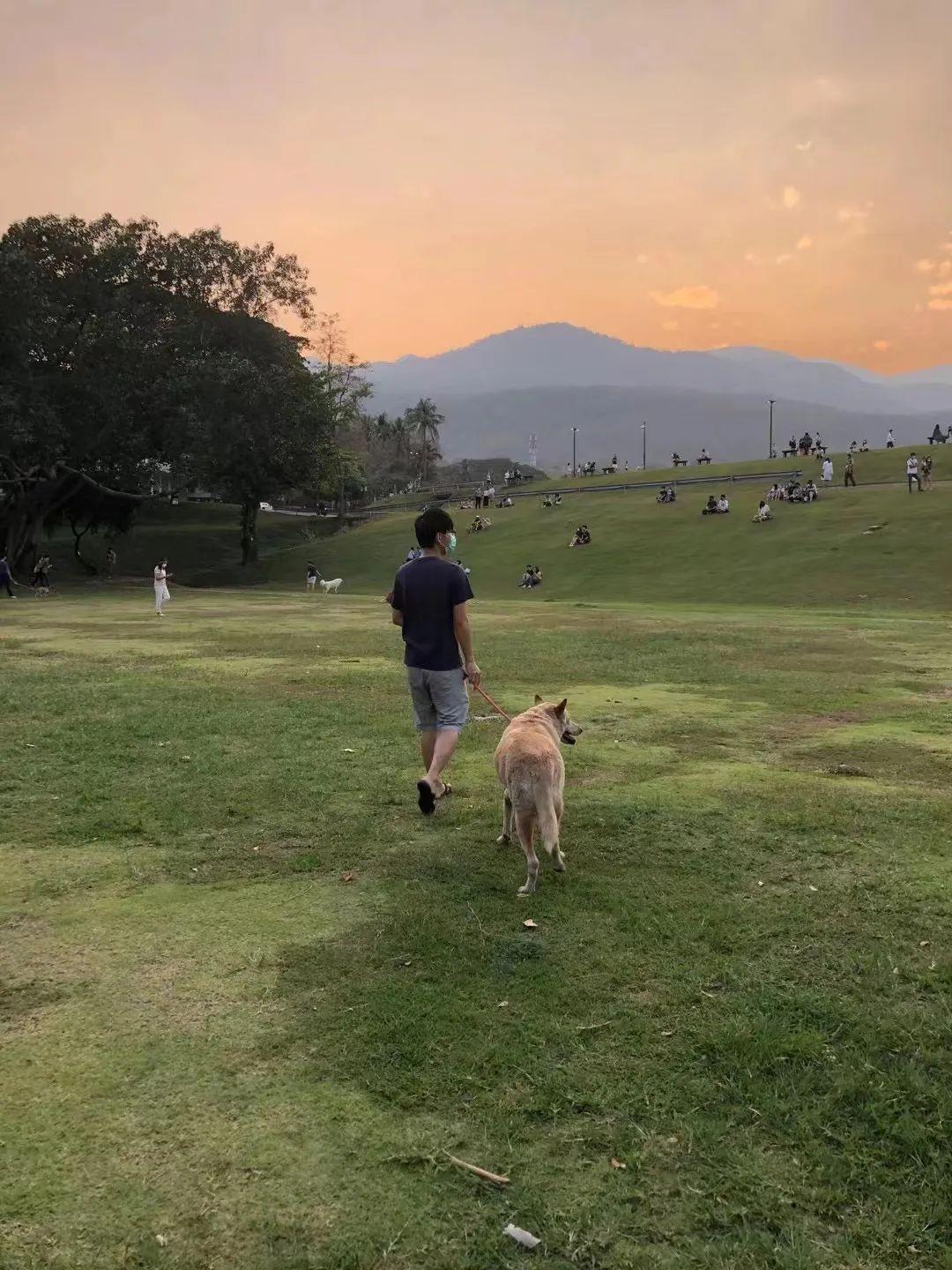 清迈_清迈住宿_清迈必去的8个景点