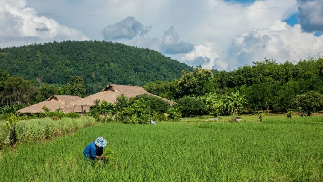 清迈住宿_清迈必去的8个景点_清迈