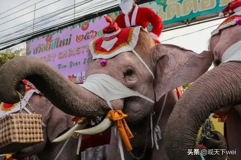 泰国旅游注意什么事项_泰国旅游_泰国旅游团报价6日游报价