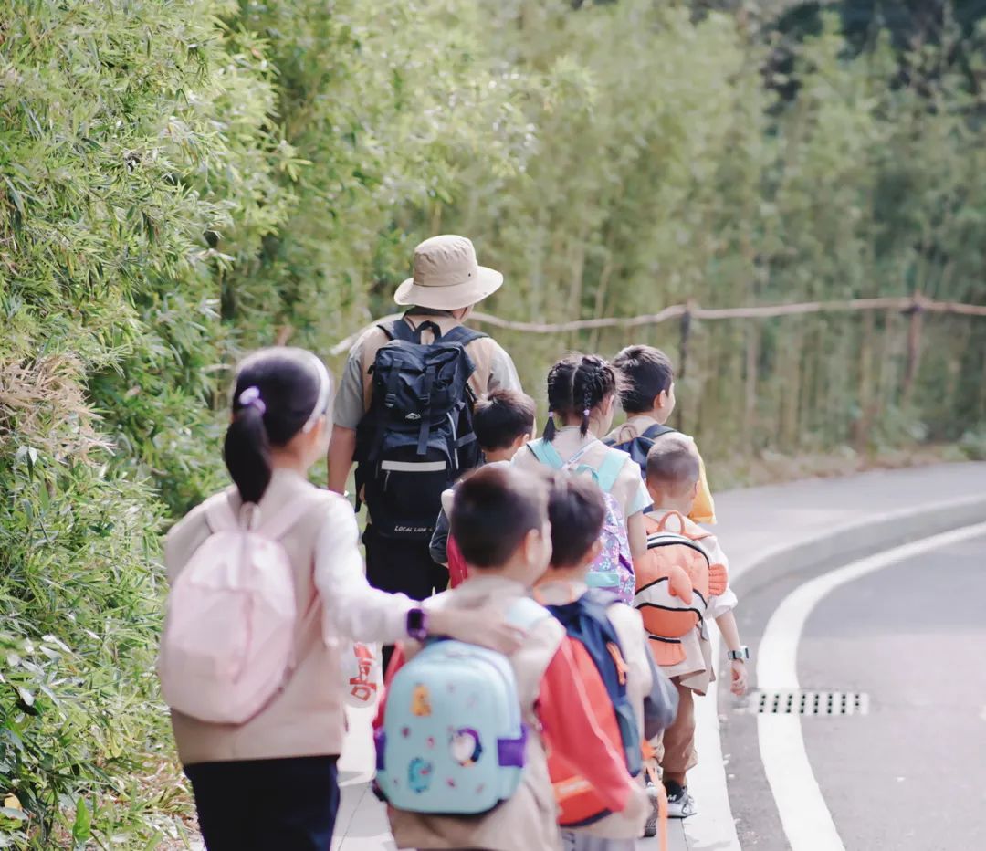 清迈_清迈有哪些大学_清迈天气