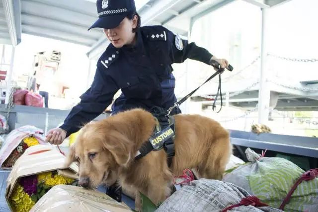 香烟泰国买中国便宜吗_泰国怎么买中国香烟_香烟泰国买中国卖多少钱