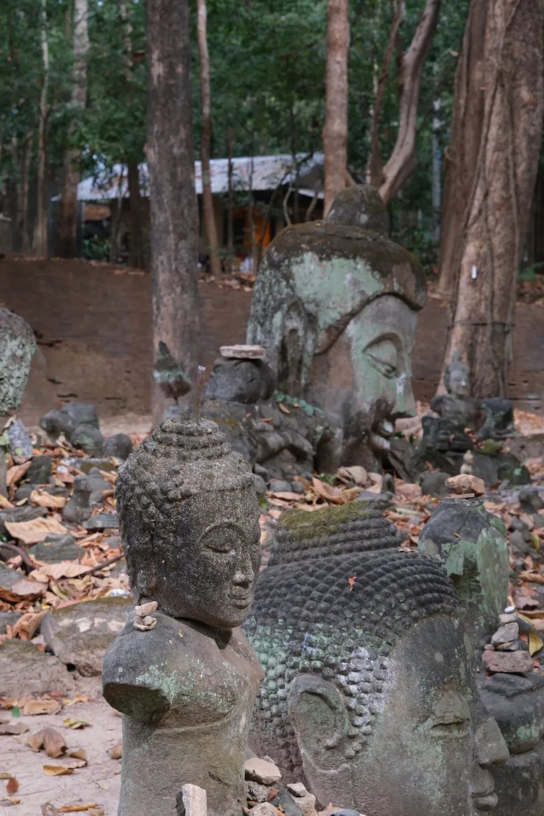 清迈旅游攻略_清迈在泰国哪里_清迈