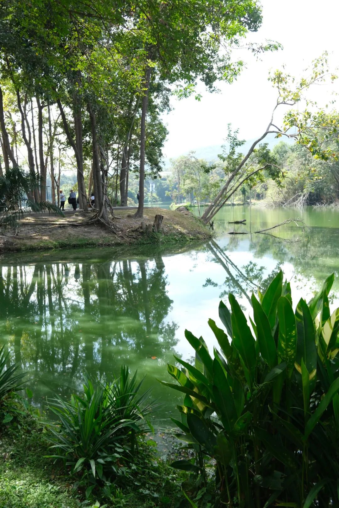 清迈旅游攻略_清迈_清迈在泰国哪里