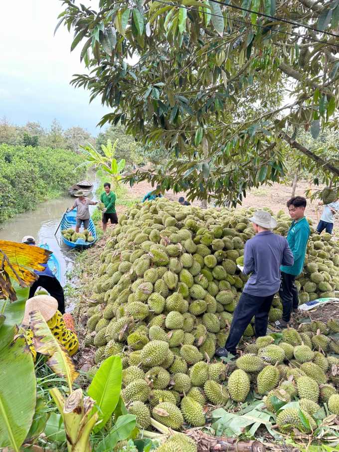 泰国免签怎么入境_泰国_泰国旅游景点