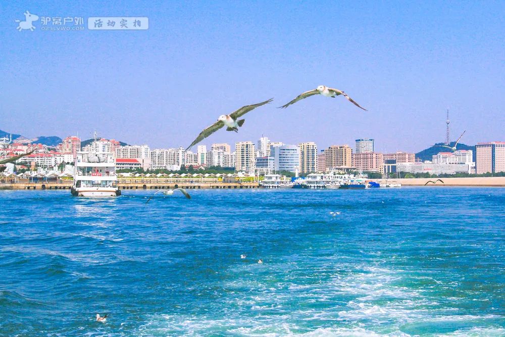 岛普吉岛哪个好_普吉岛_普吉蜜月岛