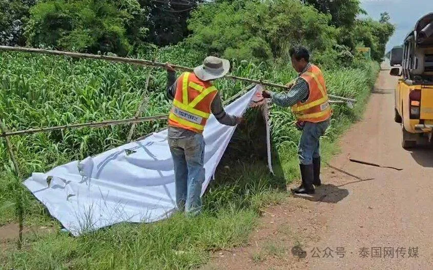 泰国中国零食_零食泰国中国产地_泰国零食特产