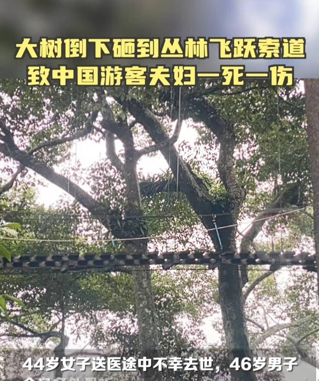 清迈有哪些大学_清迈需要签证吗_清迈