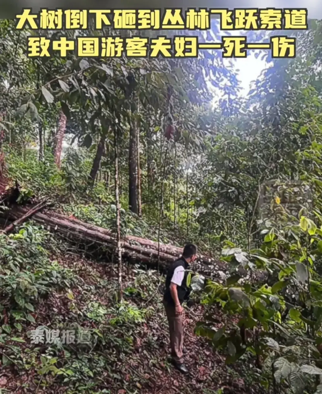 清迈有哪些大学_清迈天气_清迈