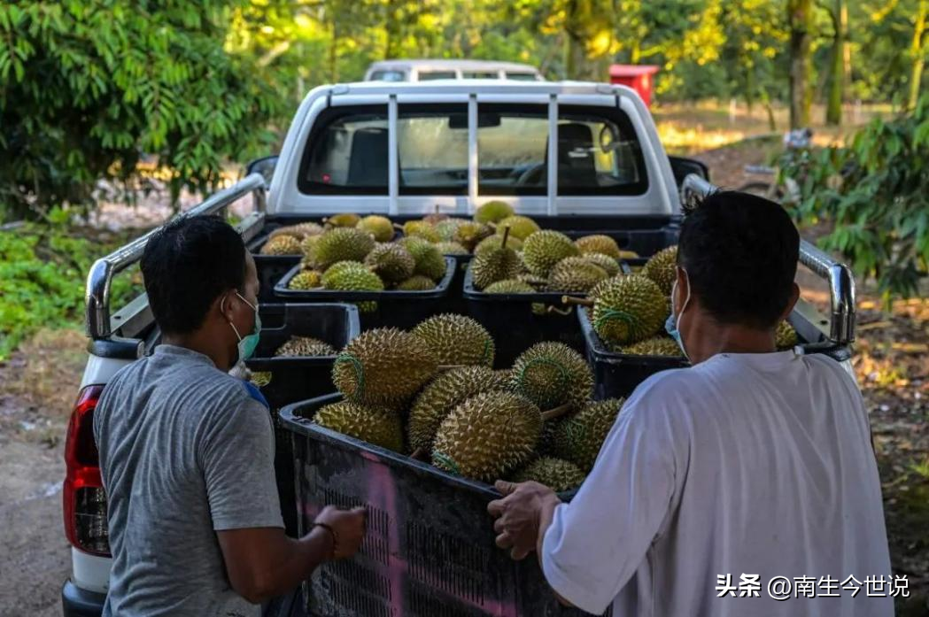 泰国泰国美女模特_泰国_泰国旅游景点