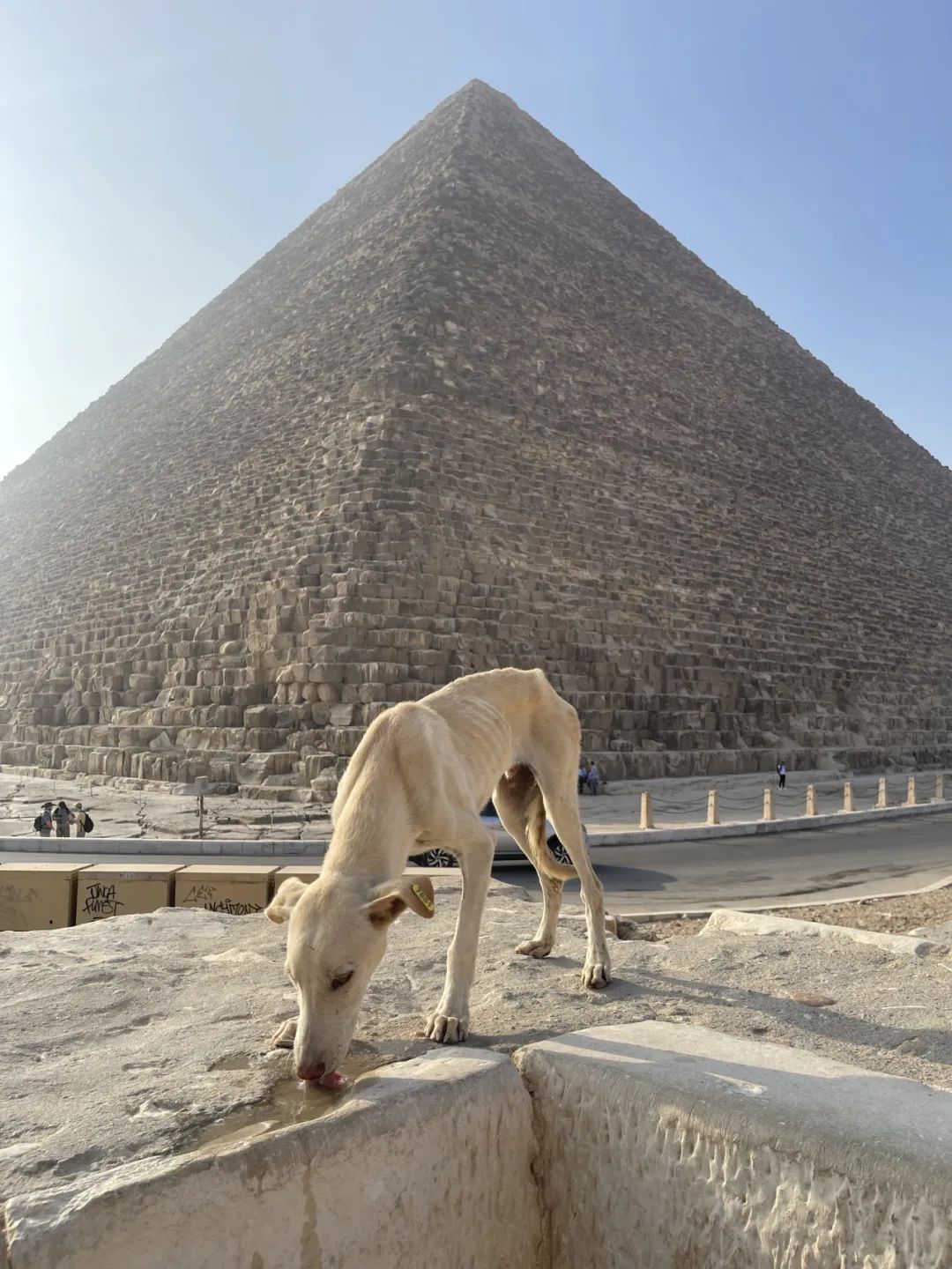 泰国熊猫超市_泰国熊猫快运_泰国小熊猫