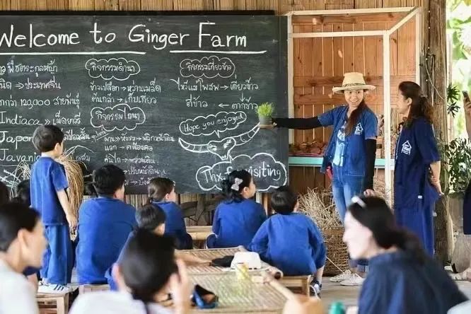 清迈旅游_清迈_清迈之恋