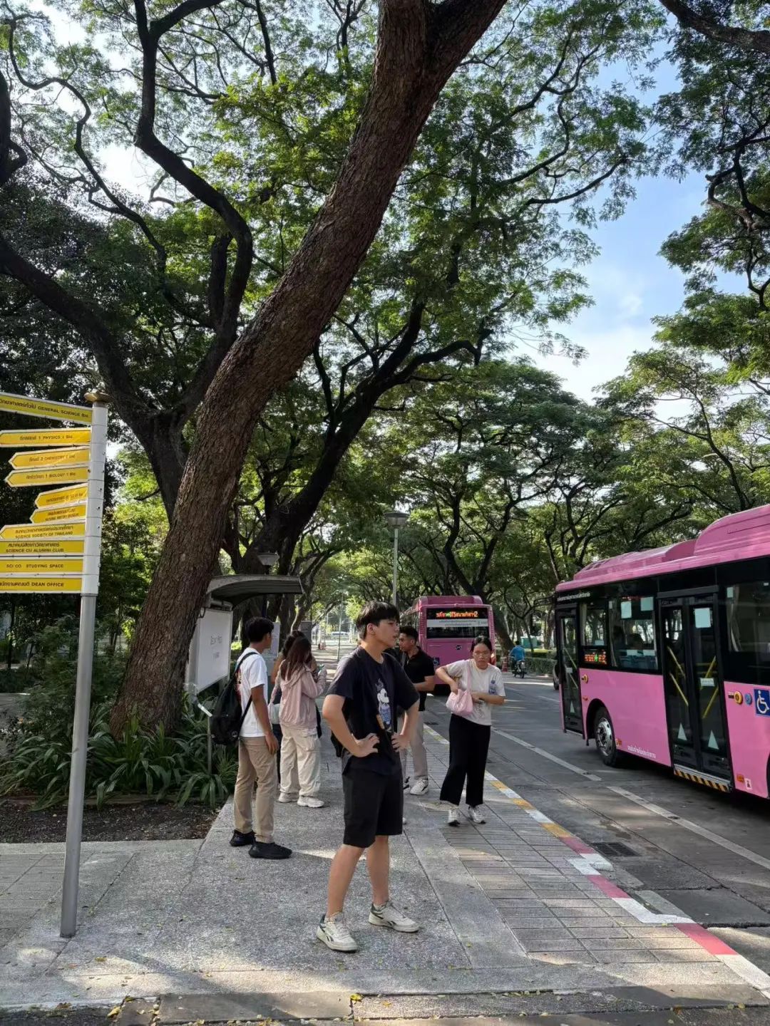 曼谷_曼谷住宿攻略_曼谷如何去芭提雅