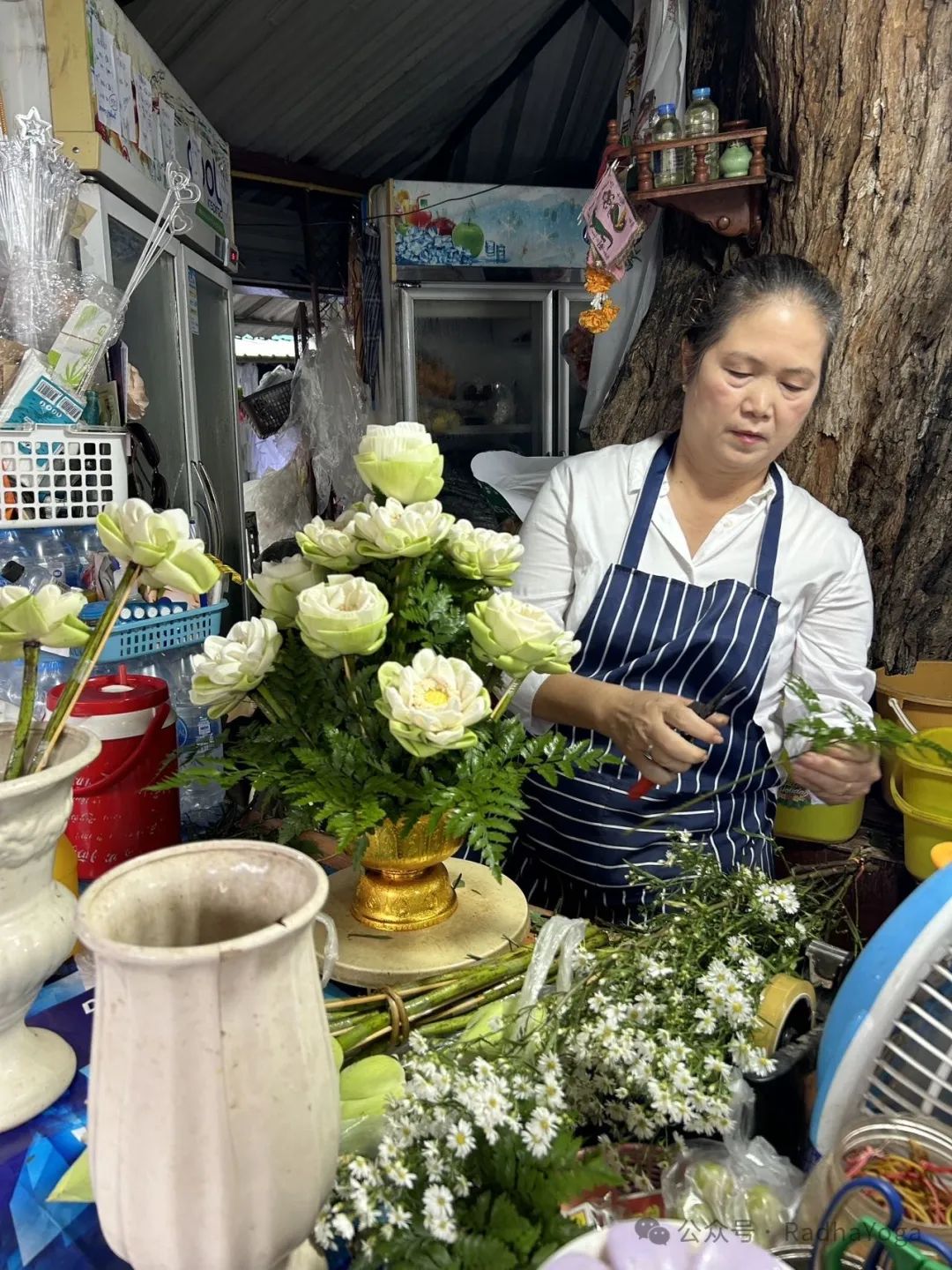 清迈四季酒店_清迈攻略_清迈