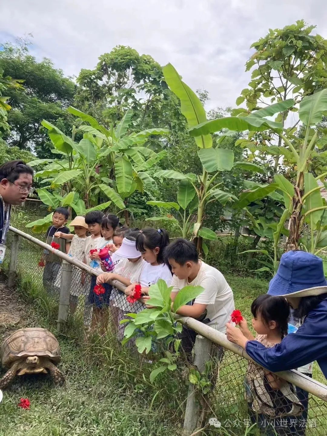 清迈_清迈古城到清迈大学_清迈清迈休闲游