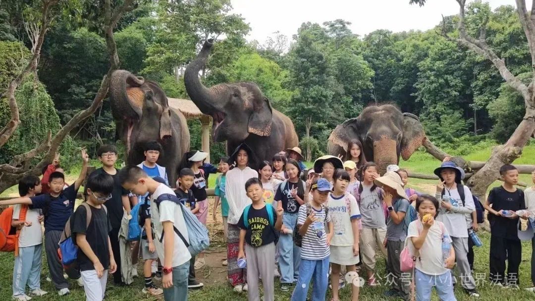 清迈_清迈古城到清迈大学_清迈清迈休闲游