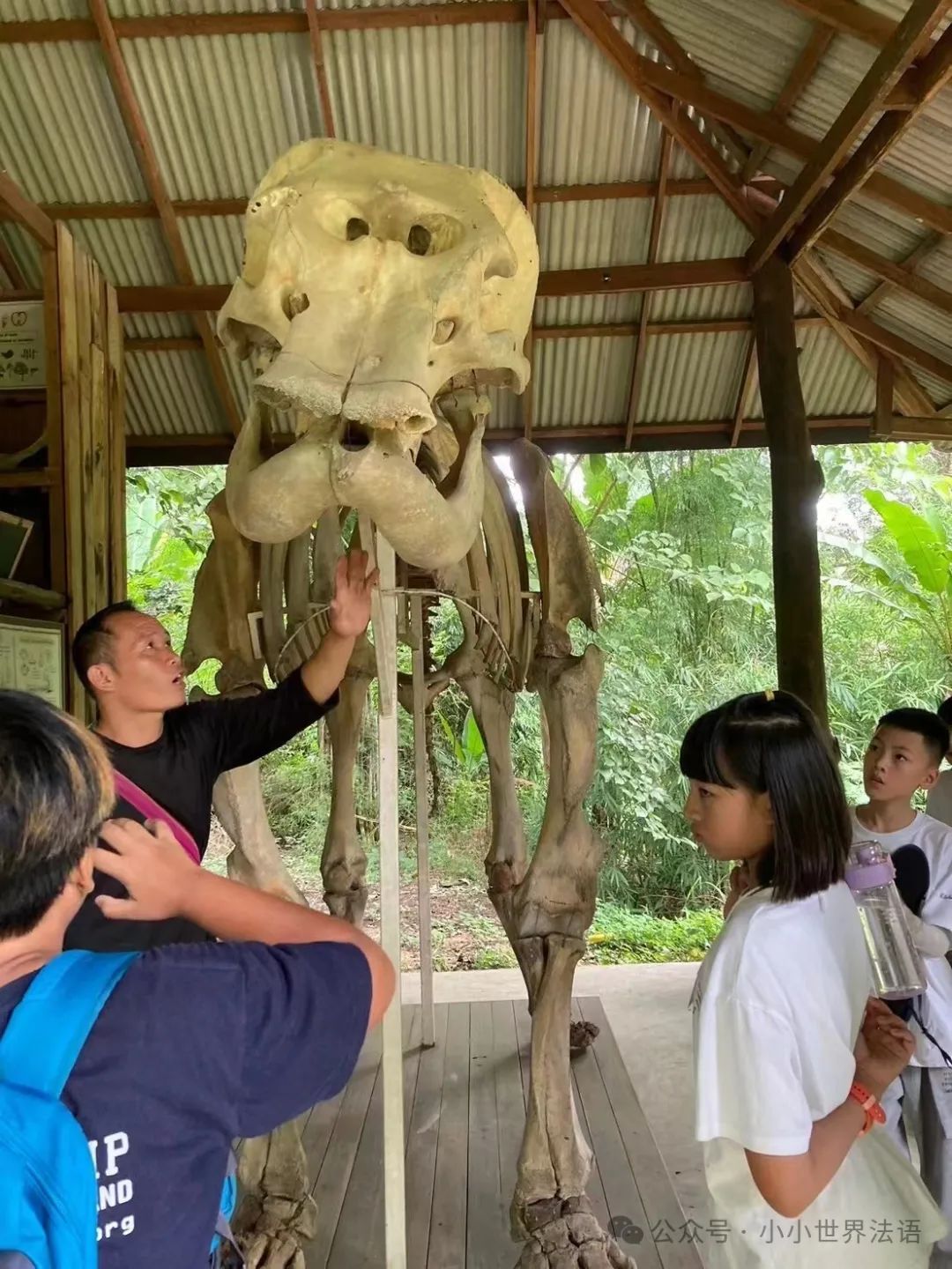 清迈古城到清迈大学_清迈_清迈清迈休闲游