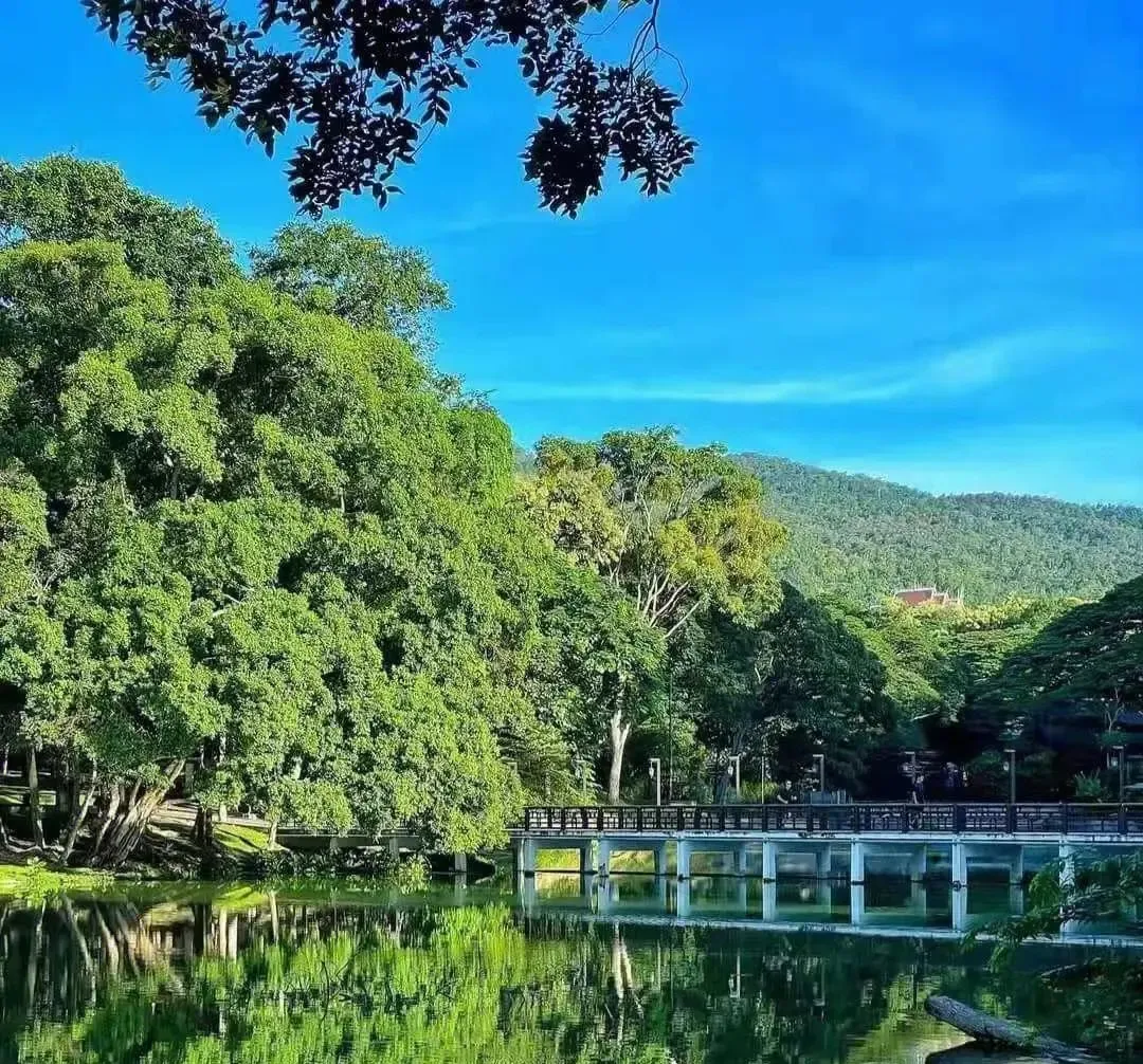 清迈天气_清迈_清迈旅游攻略