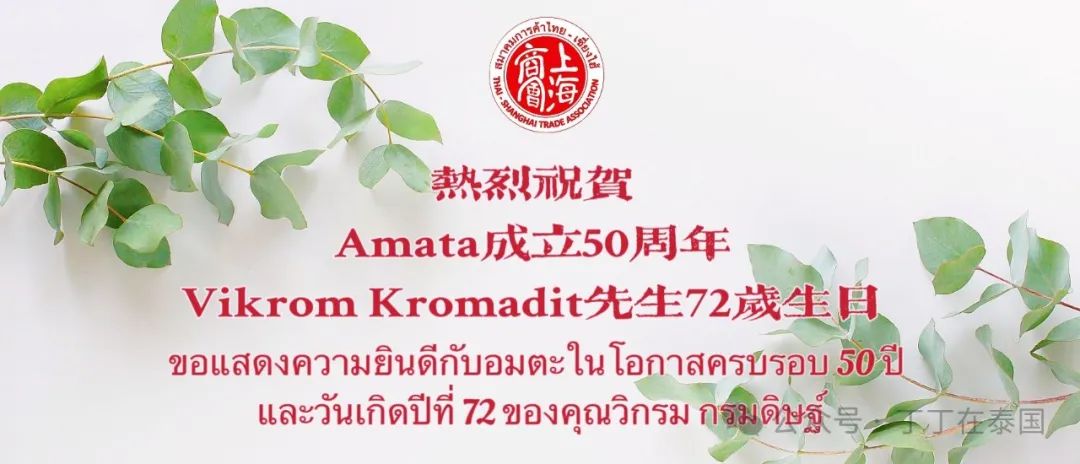 逾六千人共襄盛举，AMATA 50周年庆有多震撼？