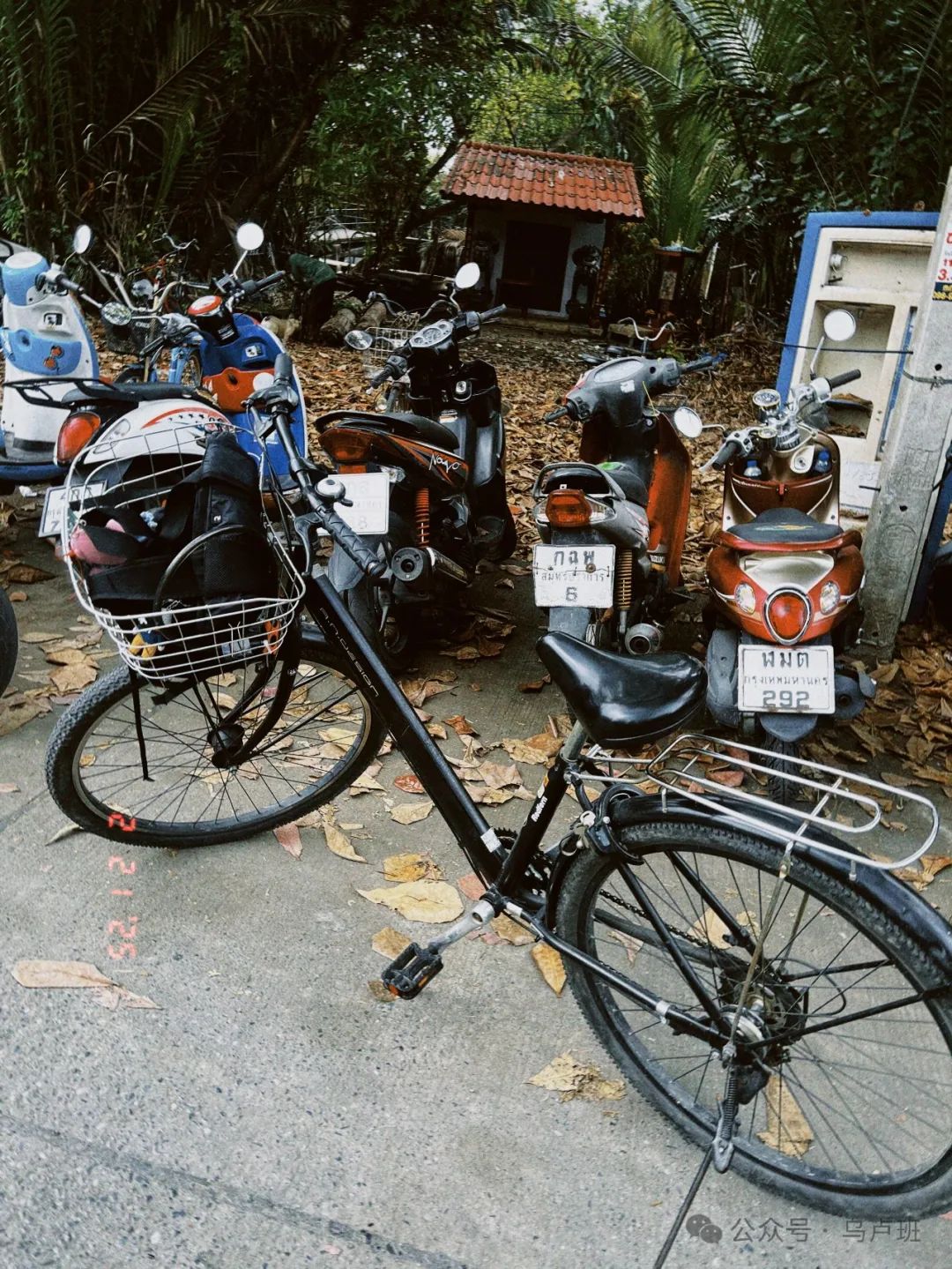 曼谷_曼谷是哪个国家_曼谷旅游景点