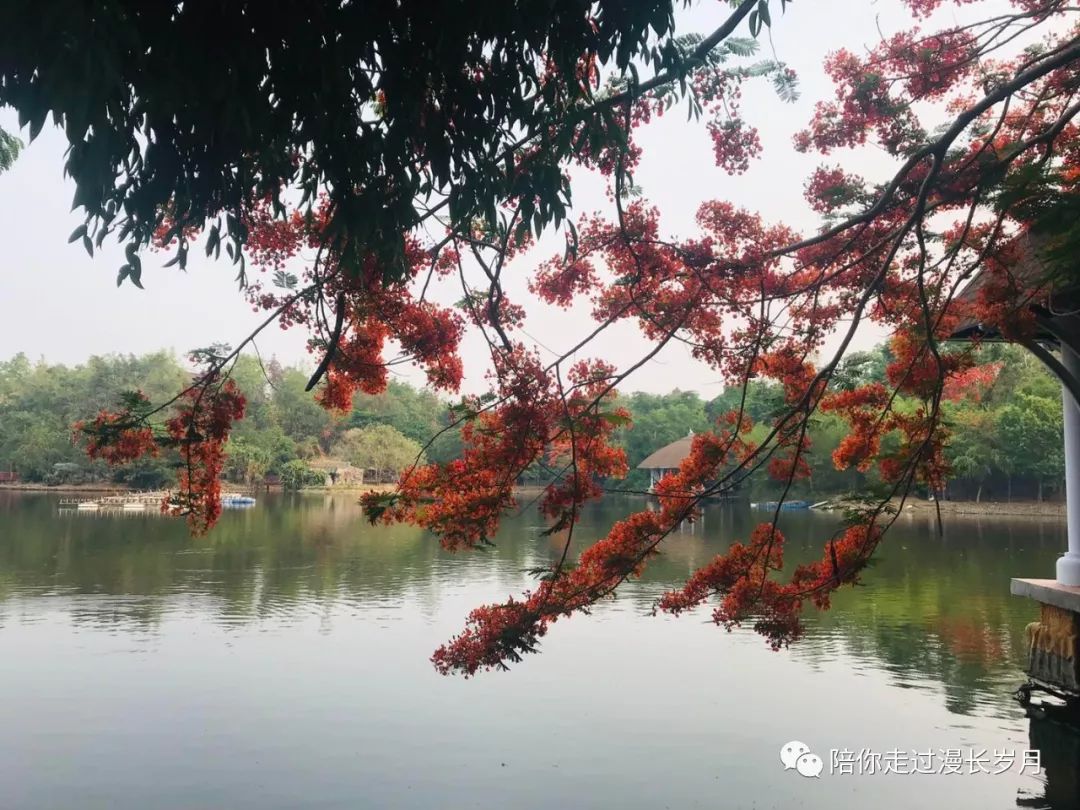 清迈是哪个国家_清迈_清迈在哪里