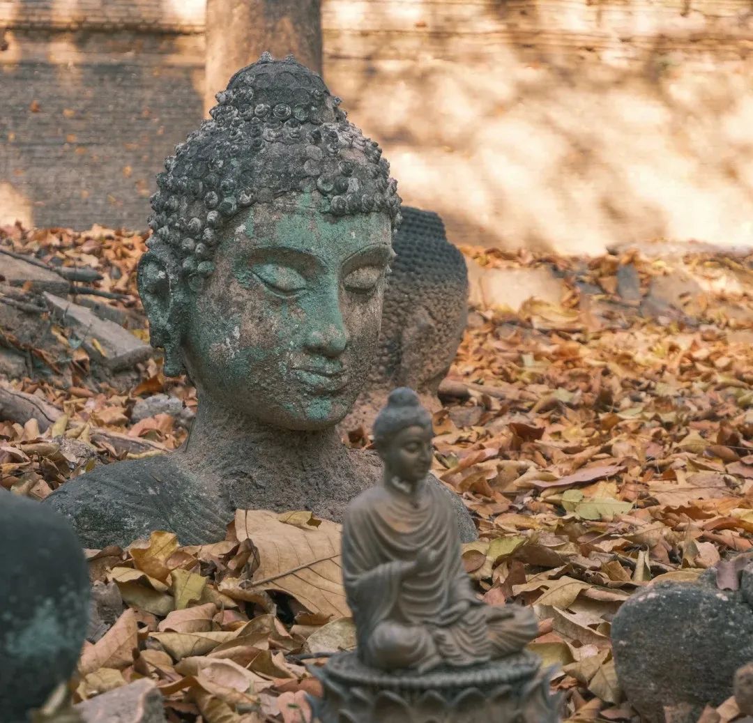 清迈_张爱玲清迈感悟_清迈素贴山晨钟