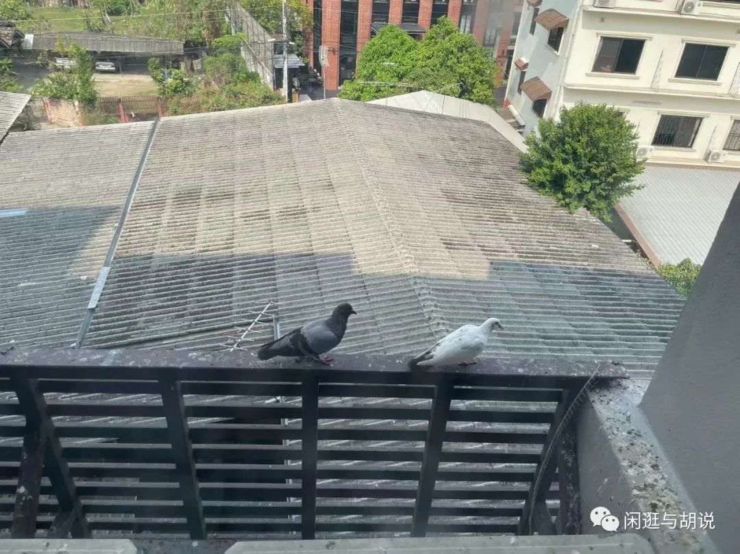 清迈旅游费用_1. 清迈旅行攻略_清迈