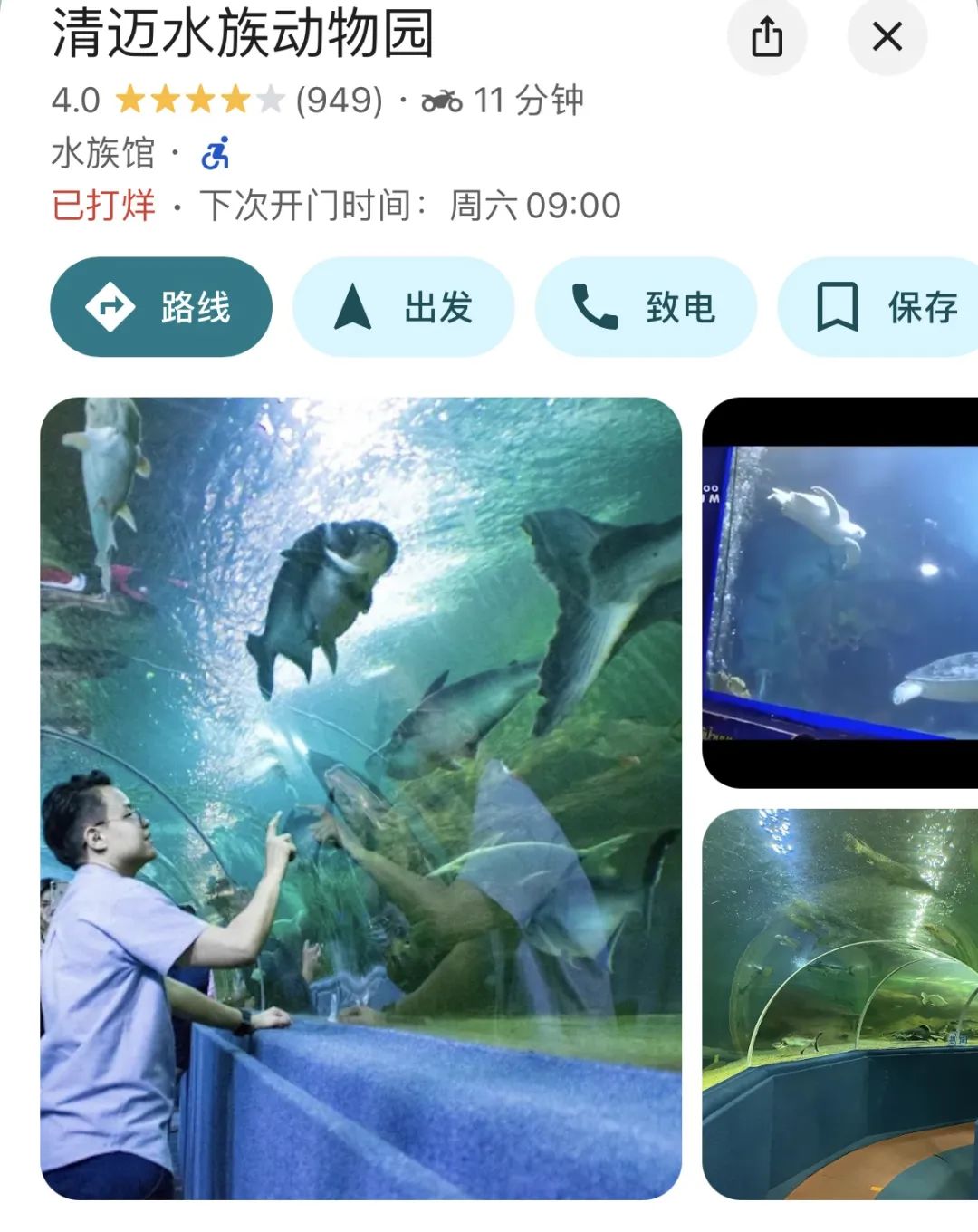 清迈小动物咖啡馆推荐_清迈_清迈亲子游动物园推荐