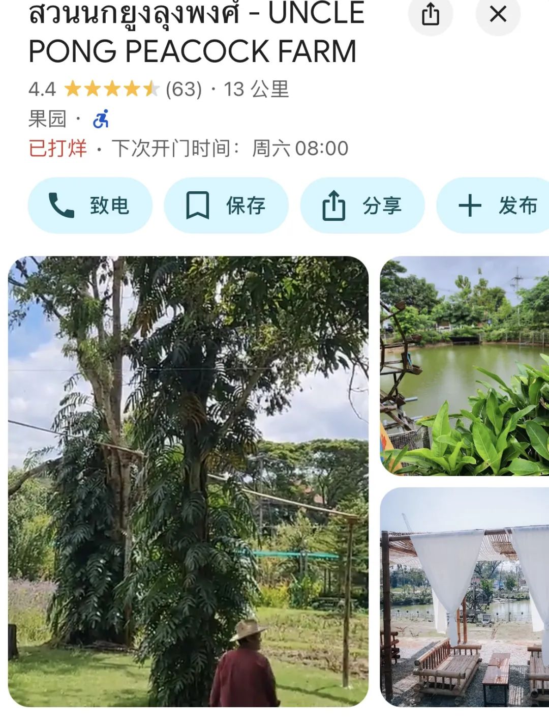 清迈_清迈亲子游动物园推荐_清迈小动物咖啡馆推荐