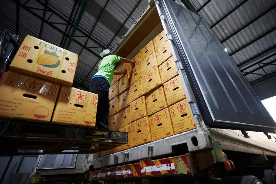 泰国榴莲出口问题分析_泰国榴莲出口量下降_泰国中国零食