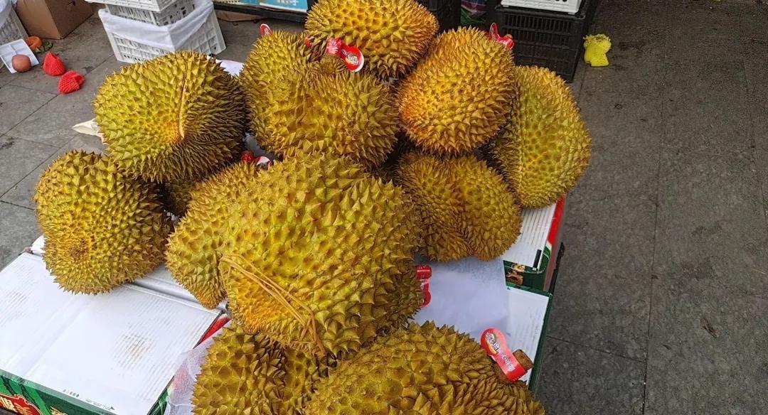 海南榴莲种植面积_泰国榴莲进口量_泰国中国零食
