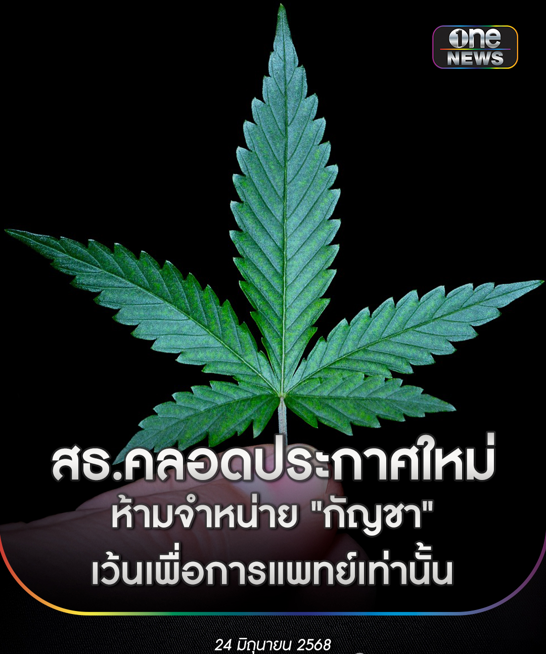 泰国大麻管制公告_泰国新闻_泰国草药管制措施