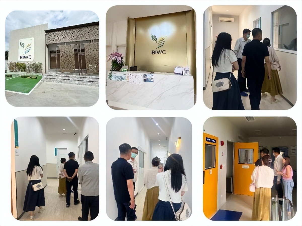 泰国新闻_泰国医疗旅游体验团_泰国医疗旅游JCI认证