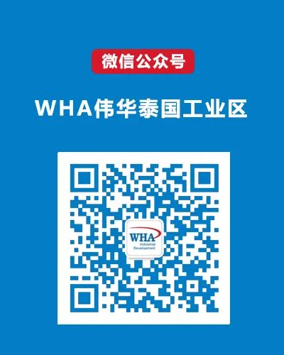 泰国旅游业2025年上半年表现_泰国旅游_泰国国际游客减少原因