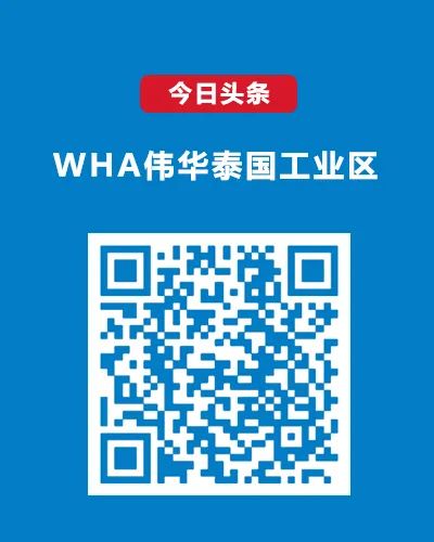 泰国国际游客减少原因_泰国旅游_泰国旅游业2025年上半年表现