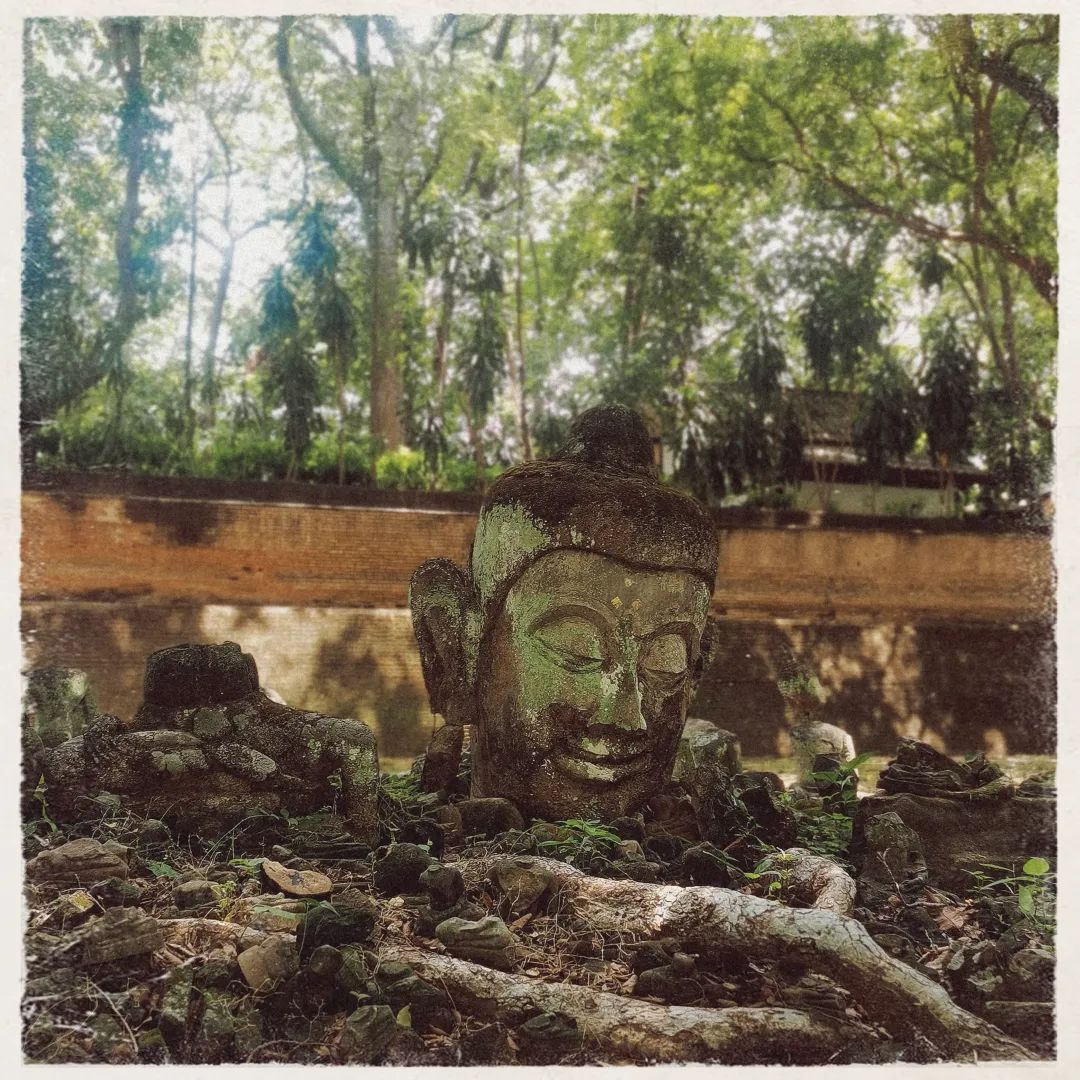 清迈_清迈旅行攻略_清迈小众景点