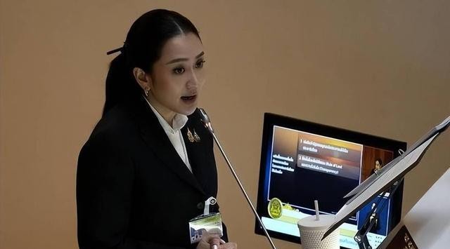 泰国政局稳定性_泰国修宪法案_泰国