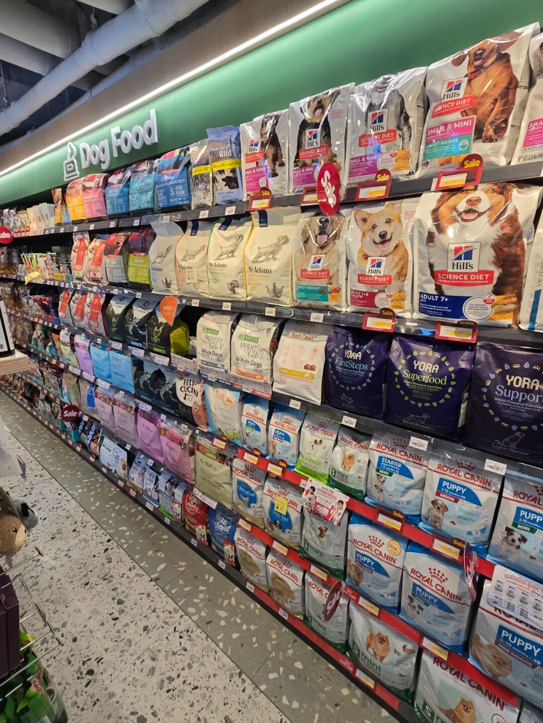 中国宠物食品在泰国市场分析_泰国中国零食_泰国宠物行业见闻