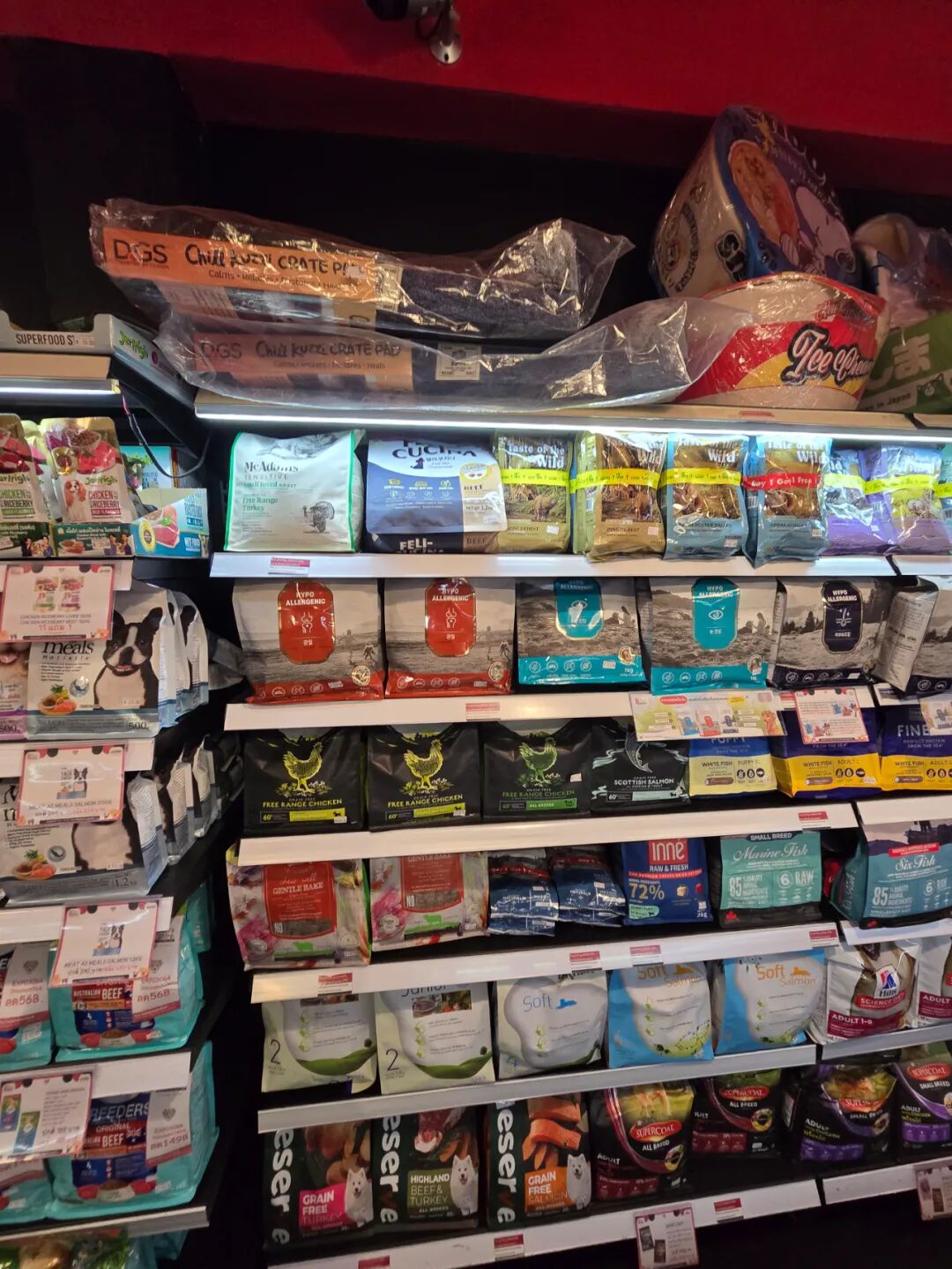 中国宠物食品在泰国市场分析_泰国宠物行业见闻_泰国中国零食