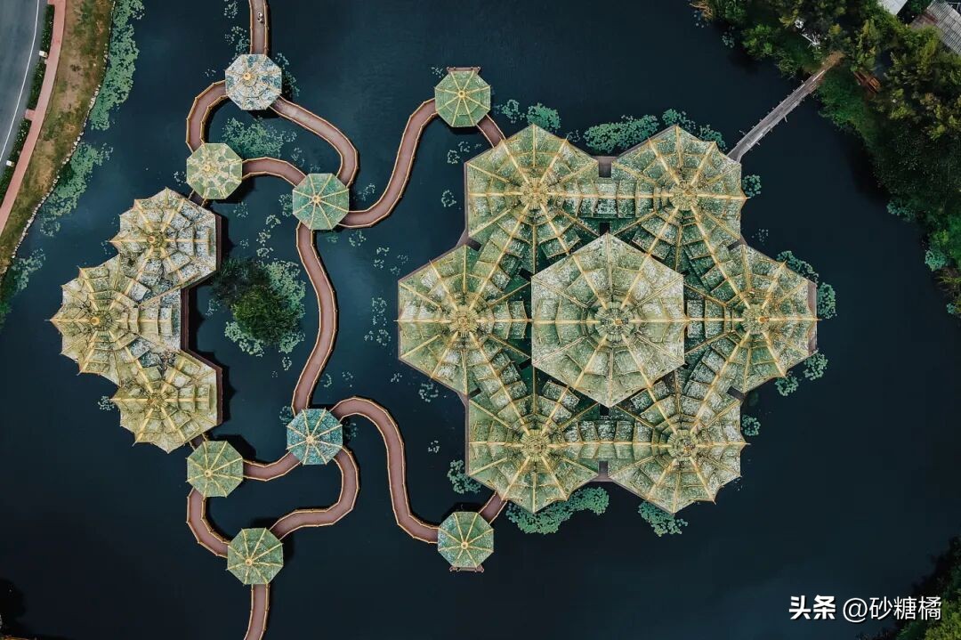 反内卷泰国线路_自在纯玩曼芭莎_芭提雅