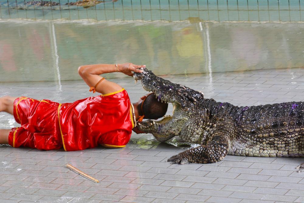 泰国旅游_泰国曼谷佛庙旅游_泰国人妖表演观赏