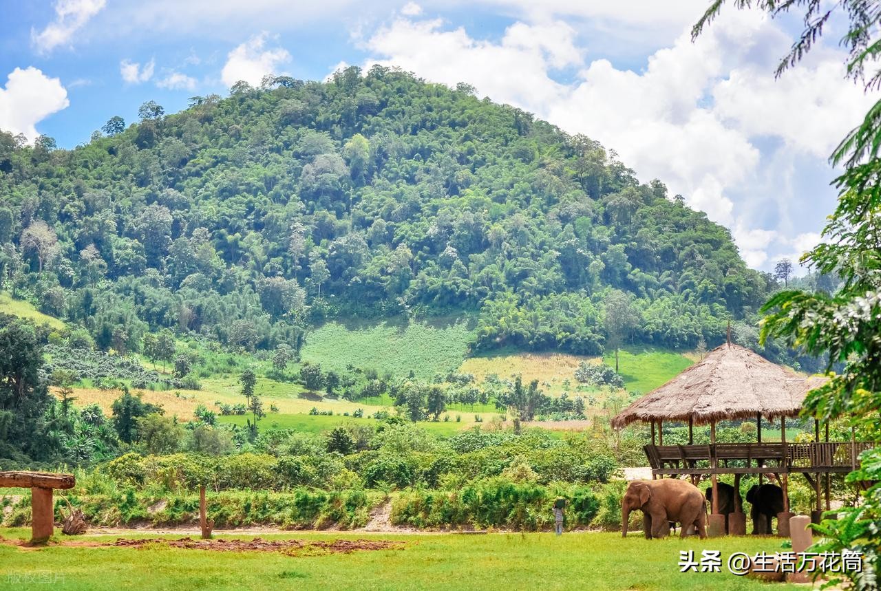 清迈山城佛国 时空折叠 文化共生 _清迈_ 清迈兰纳王朝寺庙 咖喱面美食文化