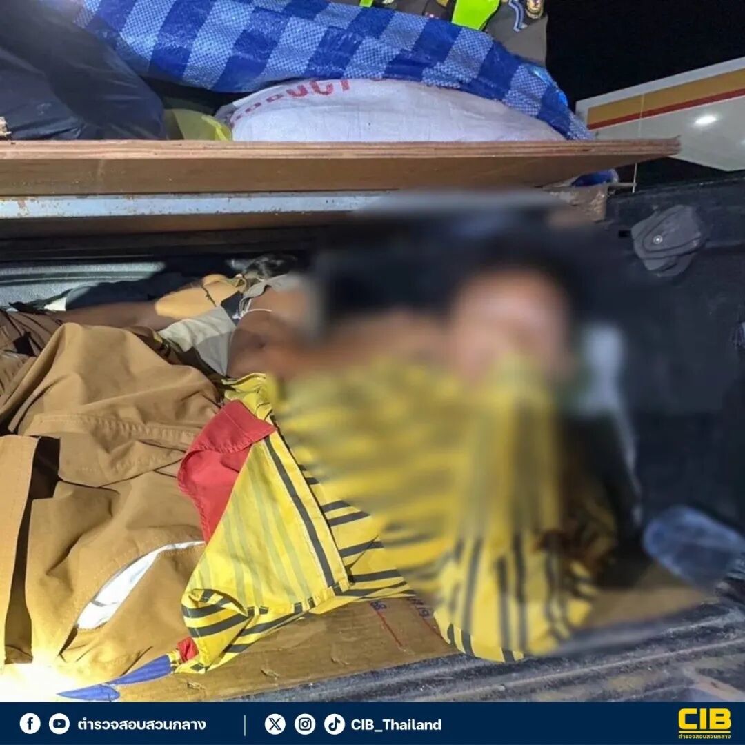 缅甸电信诈骗中国籍人员_泰国新闻_泰国中央调查局非法入境