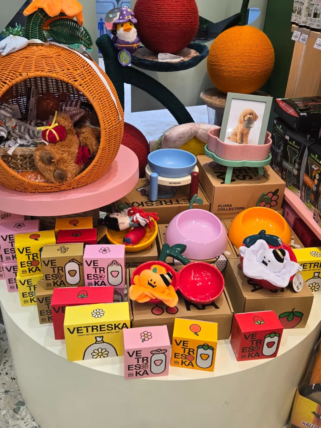 泰国宠物零食_泰国宠物营养品_泰国中国零食