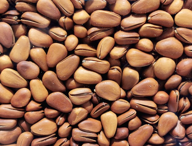 旺旺全球市场表现_泰国中国零食_中国零食行业全球TOP10品牌