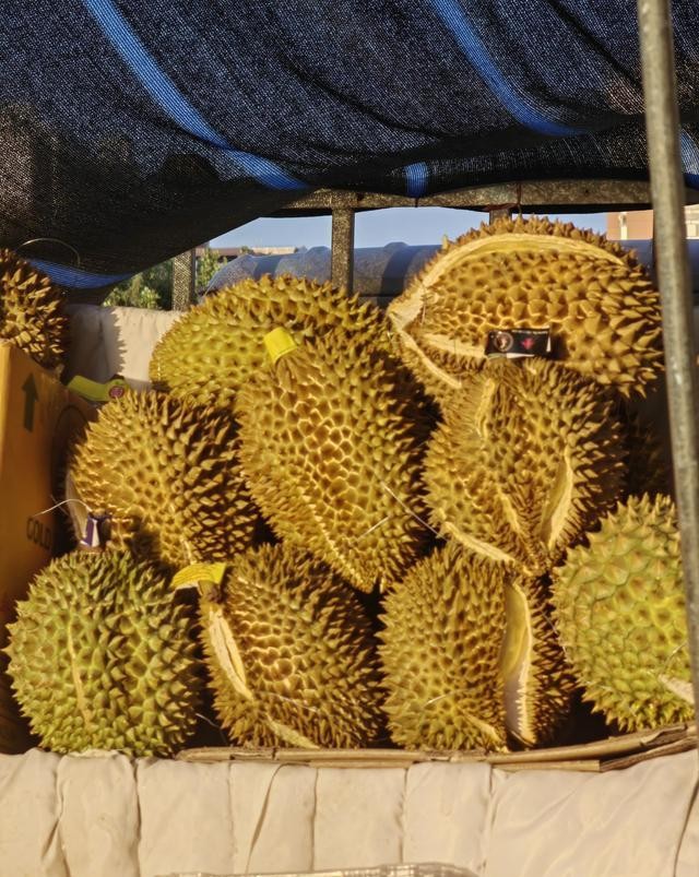 泰国游客数量下降原因_曼谷中国超市_泰国水果摊中文标语